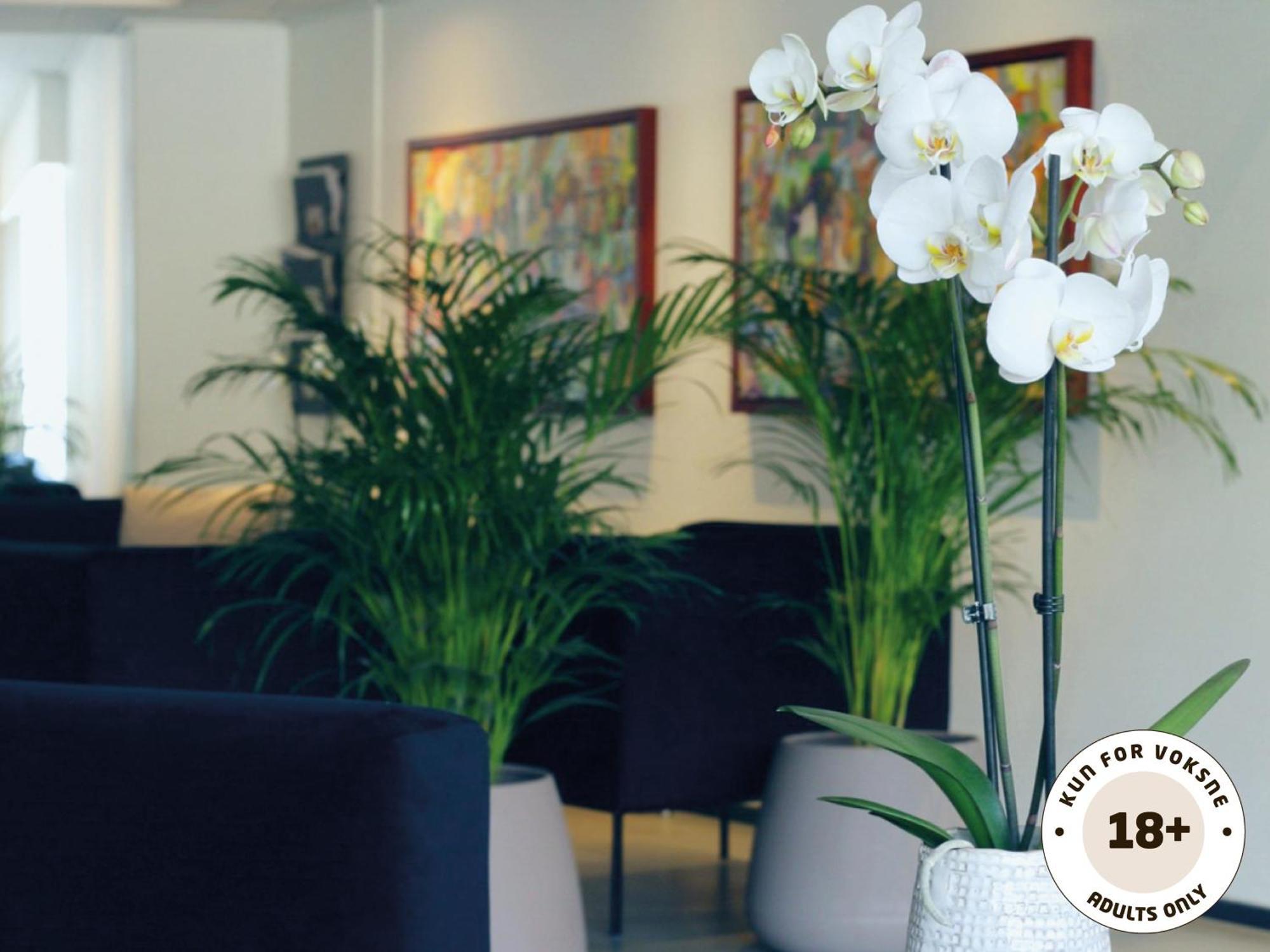 Marstal Aero Hotel - Adults Only מראה חיצוני תמונה